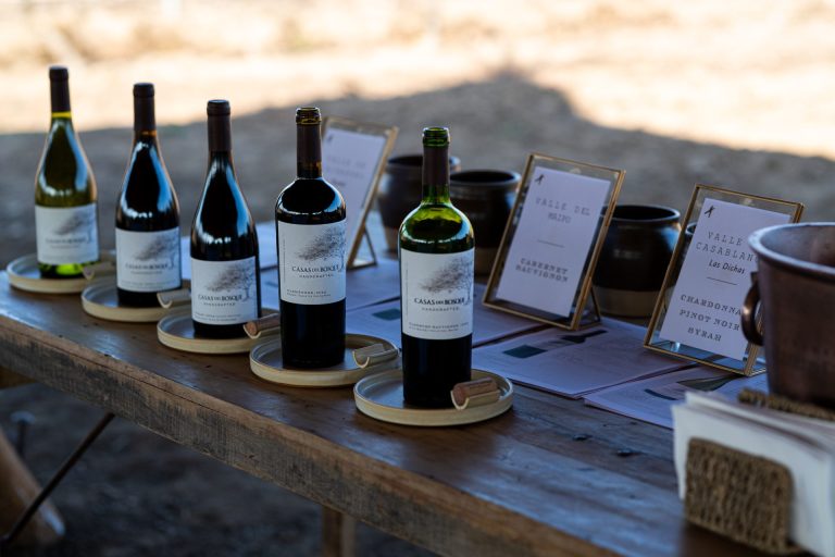 La línea debuta con cinco etiquetas distribuidas en tres valles chilenos: Casablanca, Cachapoal y Maipo. Foto: Viña Casas del Bosque.