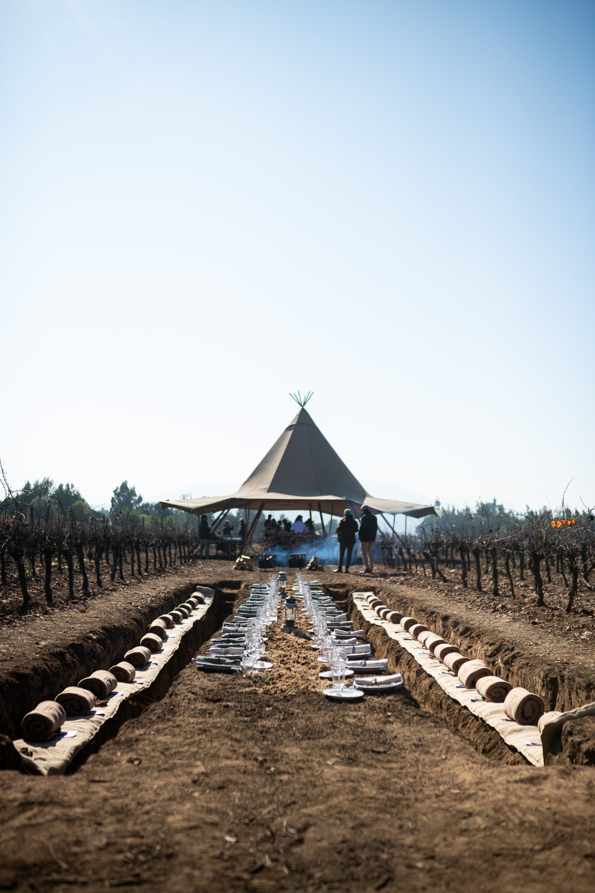 con la línea casas del bosque handcrafted busca tener como resultado vinos clásicos reinterpretados con una expresión actual y capacidad de guarda foto casas del bosque de chile al paladar | noticias del vino en chile Con la línea Casas del Bosque Handcrafted, busca tener como resultado vinos clásicos reinterpretados con una expresión actual y capacidad de guarda. Foto: Casas del Bosque.