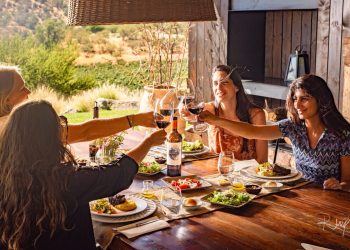 La plataforma de Enoturismo Chile permite explorar propuestas por valle, viña, tipo de experiencia y fecha. Foto: Cedida.