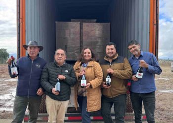 Viñateros del Valle del Itata exportan a China. Foto: Cedida.