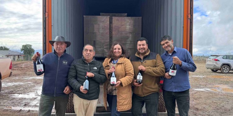 Viñateros del Valle del Itata exportan a China. Foto: Cedida.