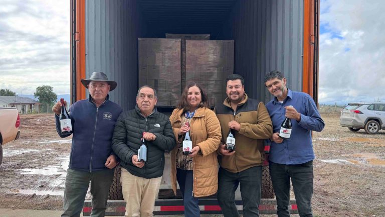 Winemakers from the Itata Valley export to China. Photo: Supplied.