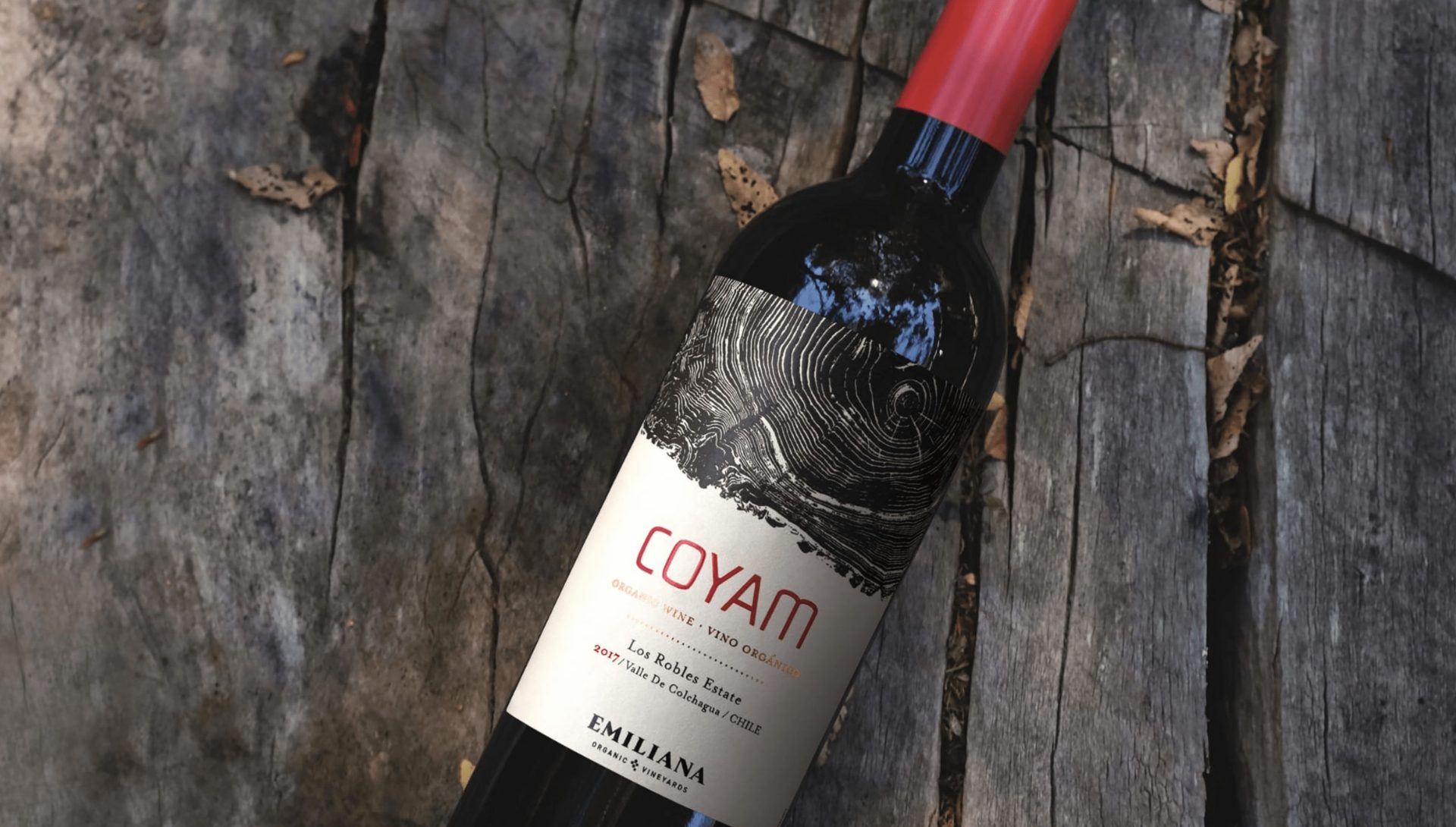 coyam es un ensamblaje tinto del valle de colchagua considerado un verdadero emblema de la viticultura orgánica chilena foto cedida de chile al paladar | noticias del vino en chile Coyam es un ensamblaje tinto del Valle de Colchagua, considerado un verdadero emblema de la viticultura orgánica chilena. Foto: Cedida.