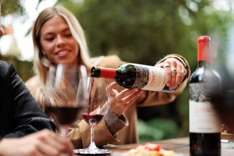 Viñedos Orgánicos Emiliana propone una guía de maridaje con sus mejores vinos orgánicos para darle la bienvenida al otoño 2026. Foto: Cedida.